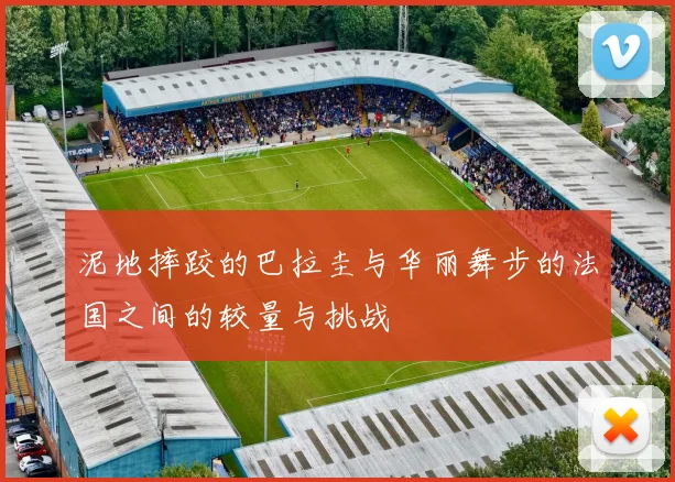 泥地摔跤的巴拉圭与华丽舞步的法国之间的较量与挑战